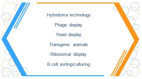 Custom Immune Checkpoint Monoclonal Antibody Discovery and Development