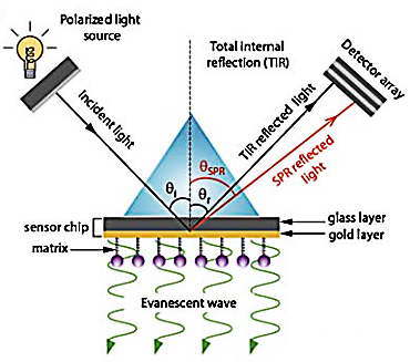 SPR system.