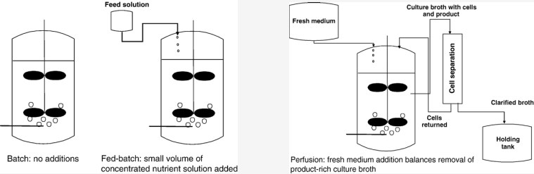Perfusion culture system and batch and fed-batch culture. 
