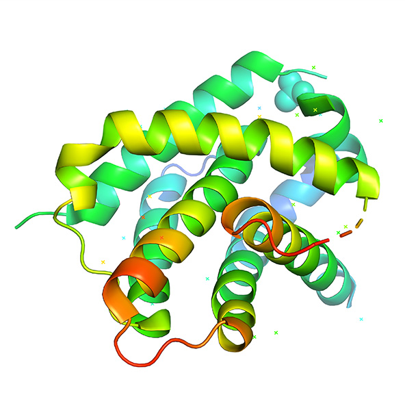 Protein Interaction Based Peptide Design