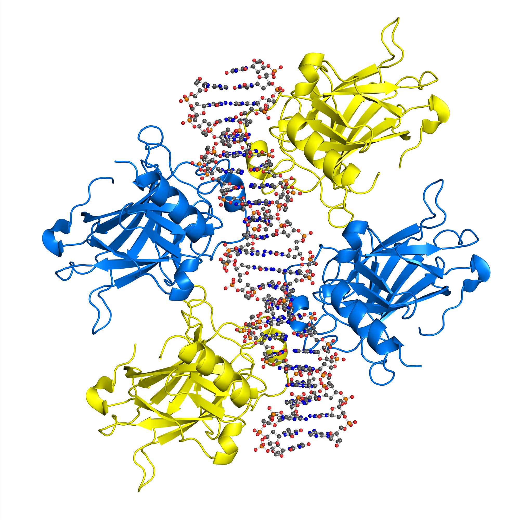 Fig.1. A graph demonstrating peptide design. (Creative Biolabs Authorized)