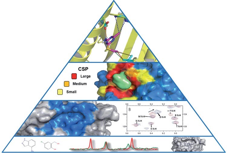 The NMR pyramid for structure elucidation.