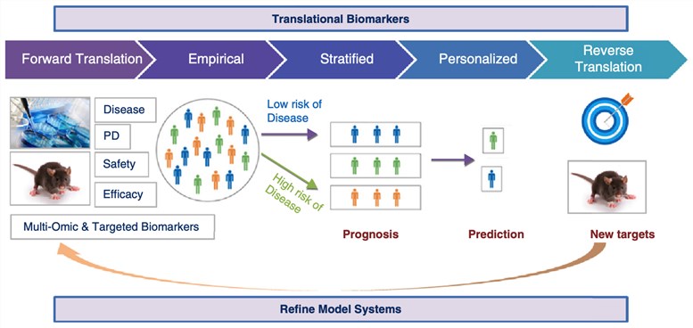 Translational biomarkers in discovery and drug development.