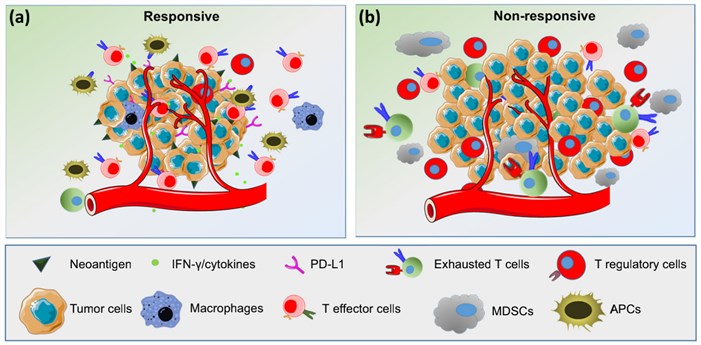 Overview of predictive biomarkers for response to ICIs.