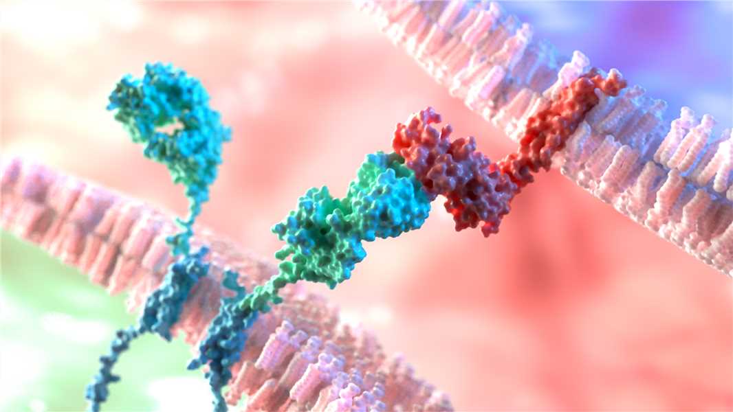 Ligand Binding Assay