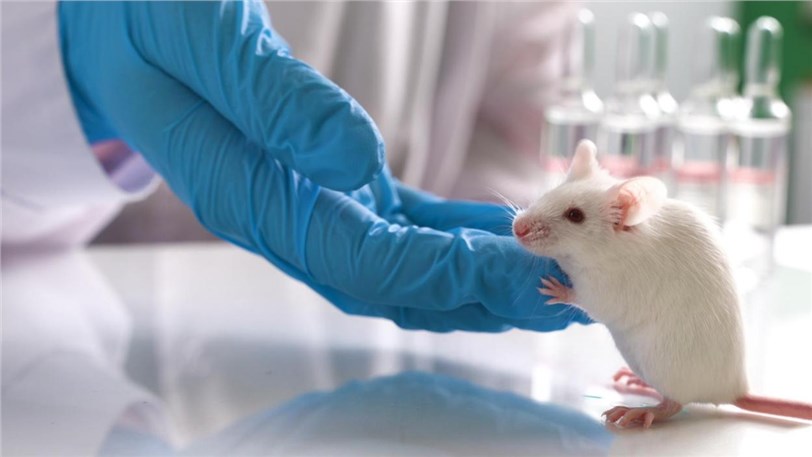 Mouse models for immune checkpoint drug discovery.
