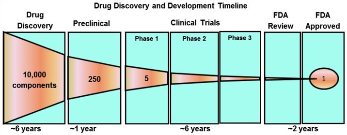 The approximate timeline for drug discovery and development with an FDA-approved product.