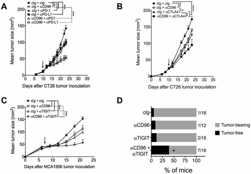 Enhanced primary tumor growth suppression through synergistic anti-CD96 therapy and immune checkpoint blockade. (Mittal, et al., 2019)