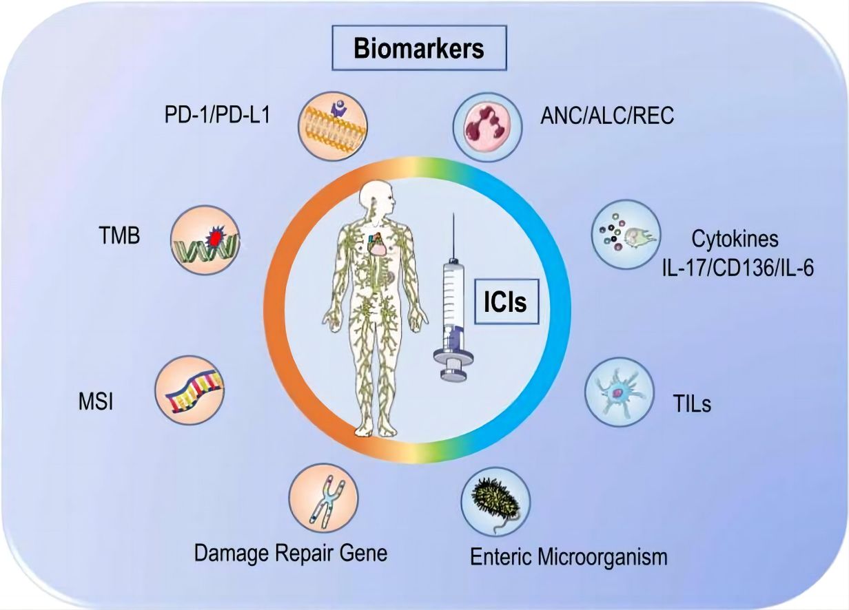 Various immunotherapy biomarkers in ICIs treatment. (Li, et al., 2022)