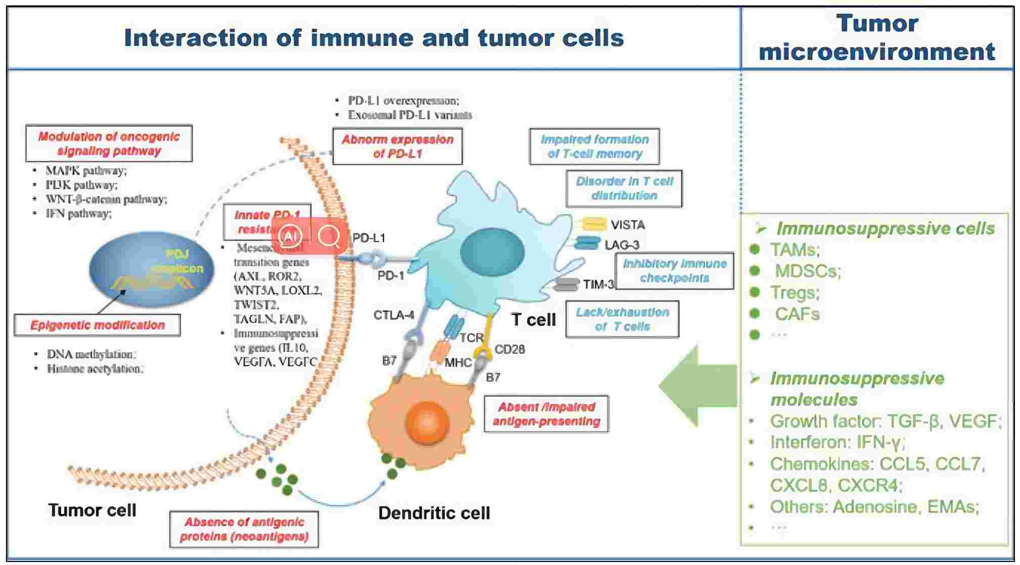 Immune checkpoint blockade resistance in cancer therapy. (Shi, et al., 2020)