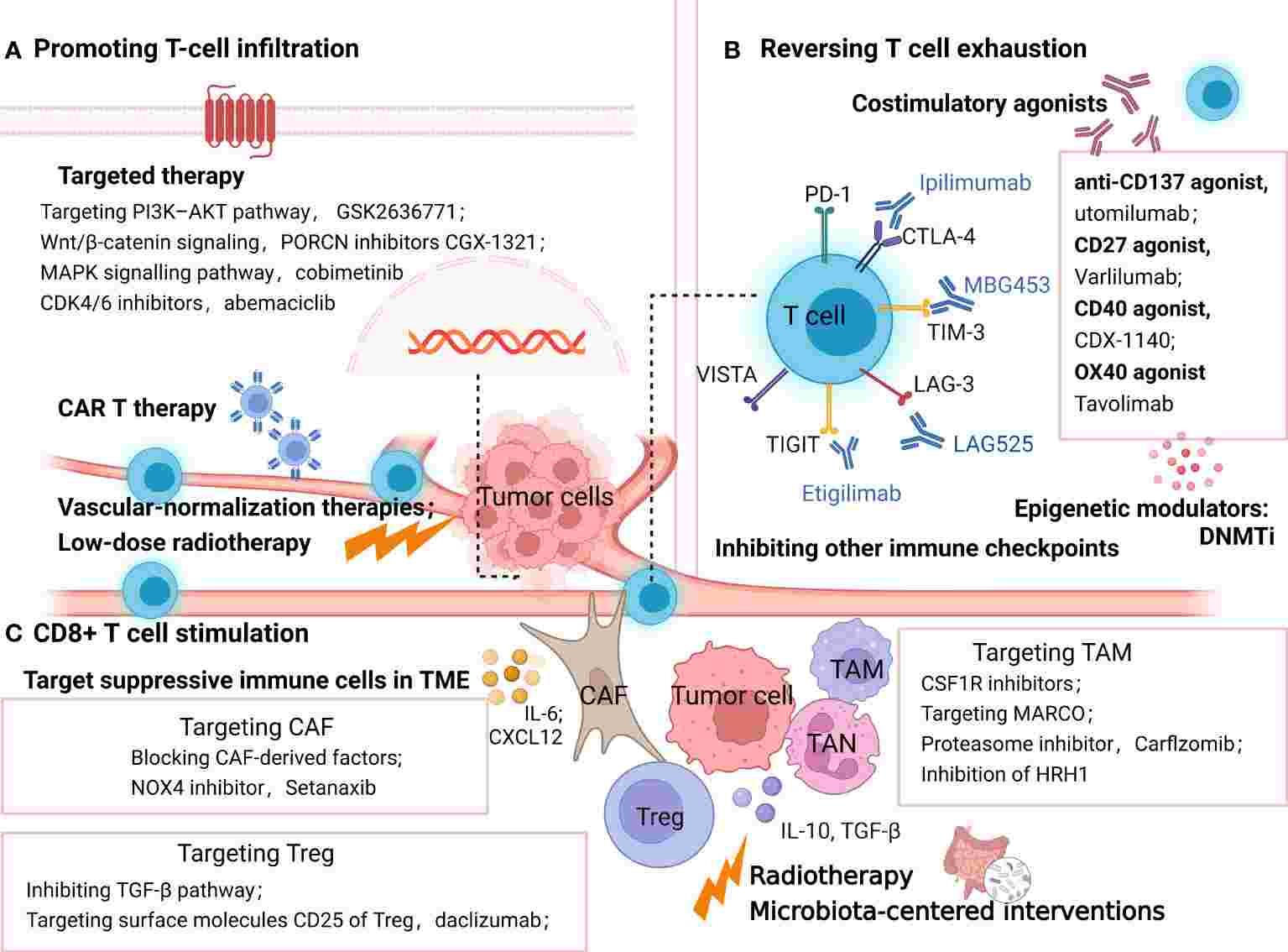 Strategies to overcome PD-1/PD-L1 resistance through enhancement of T-cell infiltration, reversal of T-cell exhaustion, and stimulation of CD8+ T cells. (Zhou, et al., 2022)