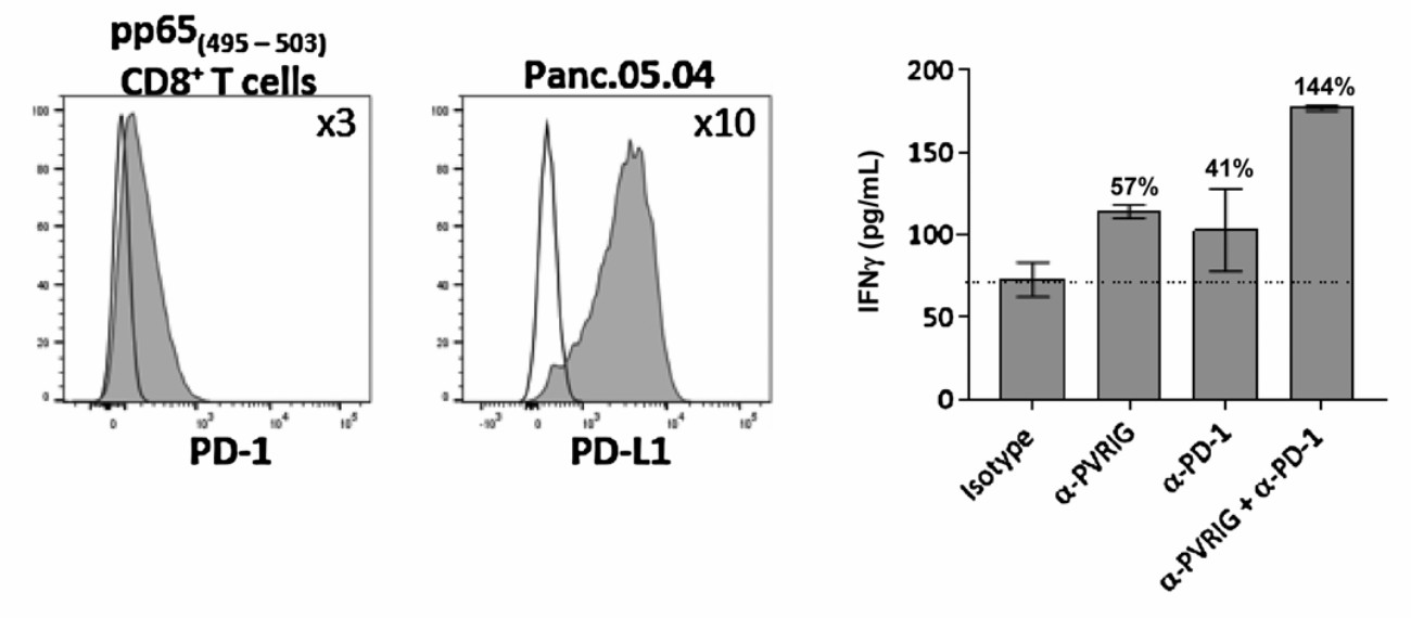 An additive increase in IFNγ production is found in the combined therapy of anti-PVRIG and anti-PD-1. (Whelan, et al., 2019)