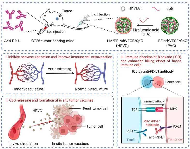 A combined therapeutic approach involving gene modulation for anti-angiogenesis and PD-1/PD-L1 inhibition to enhance anti-tumor immunotherapy. (Zhan, et al., 2023)