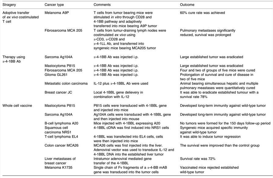 Murine antitumor models targeted the 4-1BB and 4-1BBL pathway.