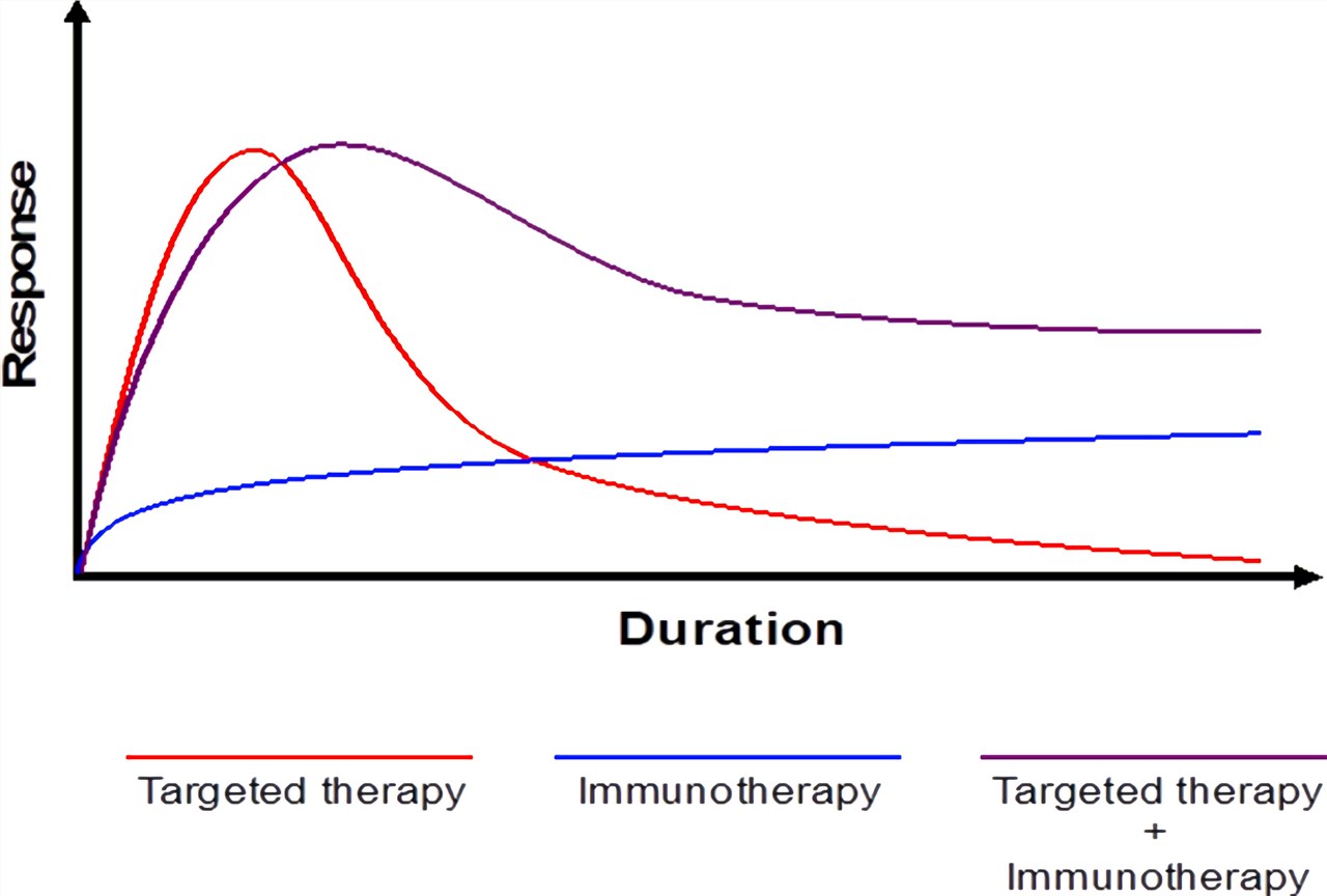 Response rate and duration of targeted andimmunotherapy, as well as anticipated combination.