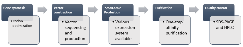 Immune Checkpoint Antibody Small-scale Production