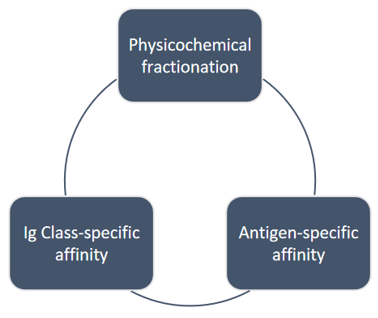 Production and Manufacture of Immune Checkpoint Antibody-2