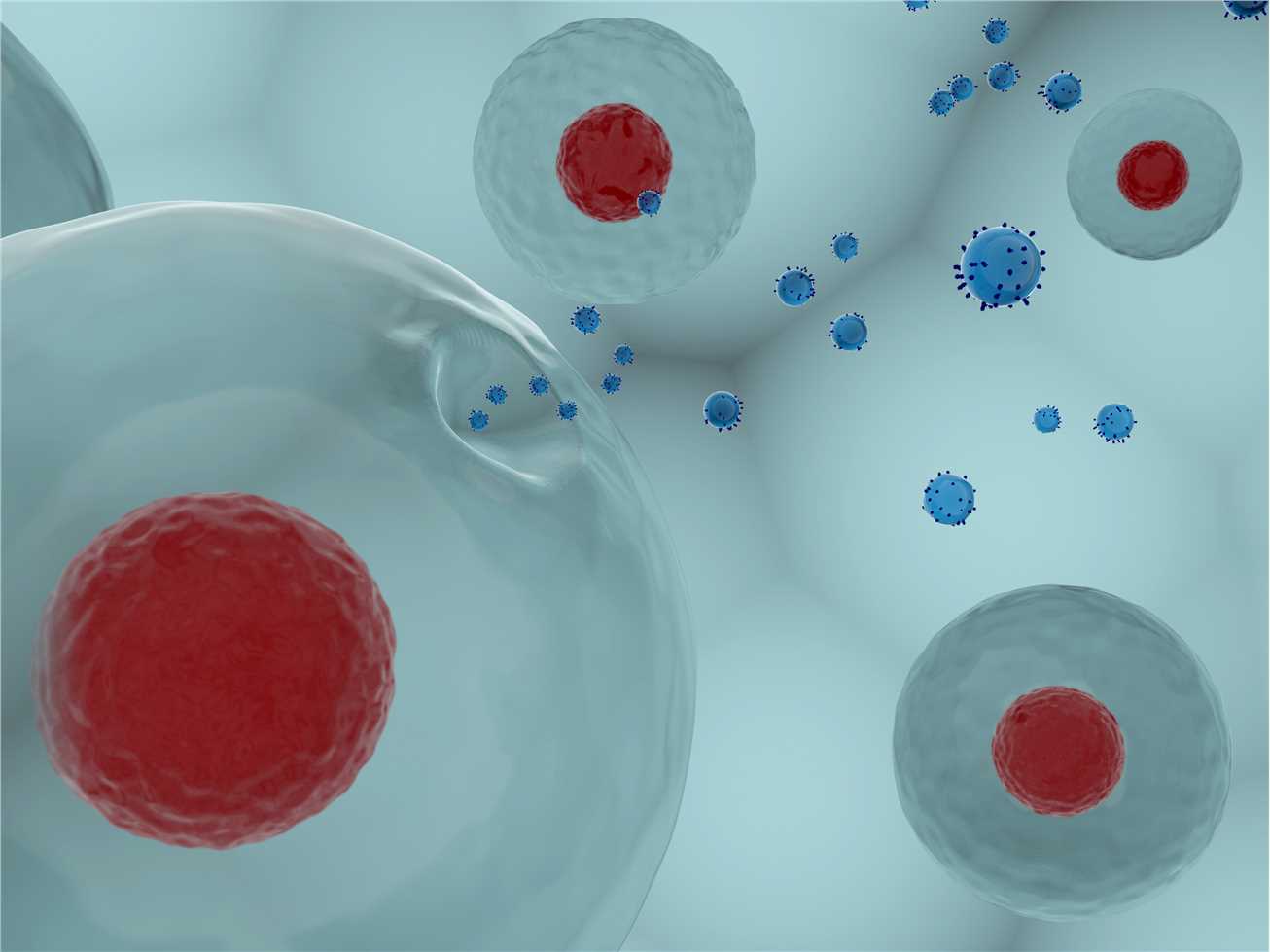 Fig.2. A graph demonstrating cells. (Creative Biolabs Authorized)