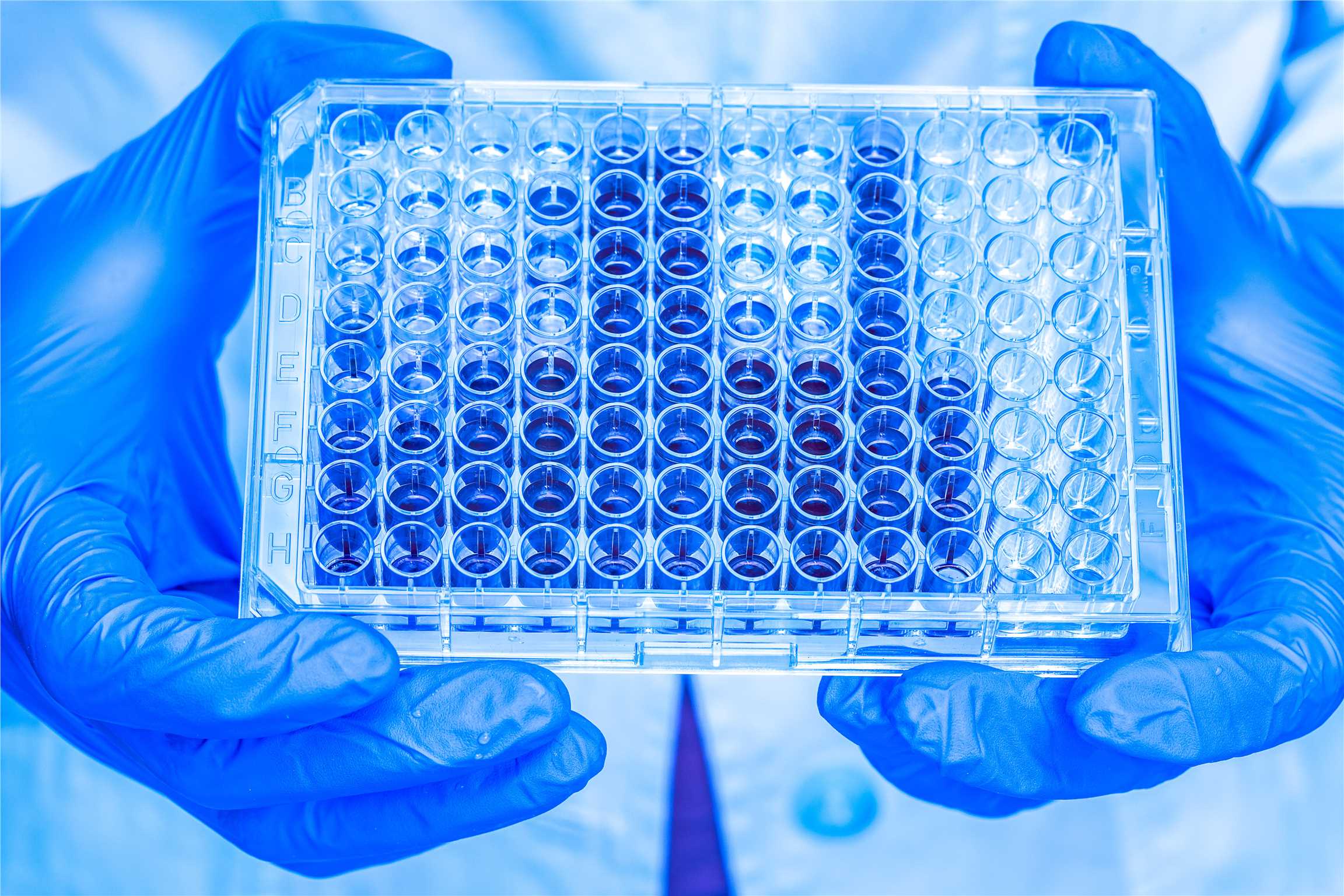 Fig.1. A graph demonstrating bioassays. (Creative Biolabs Authorized)